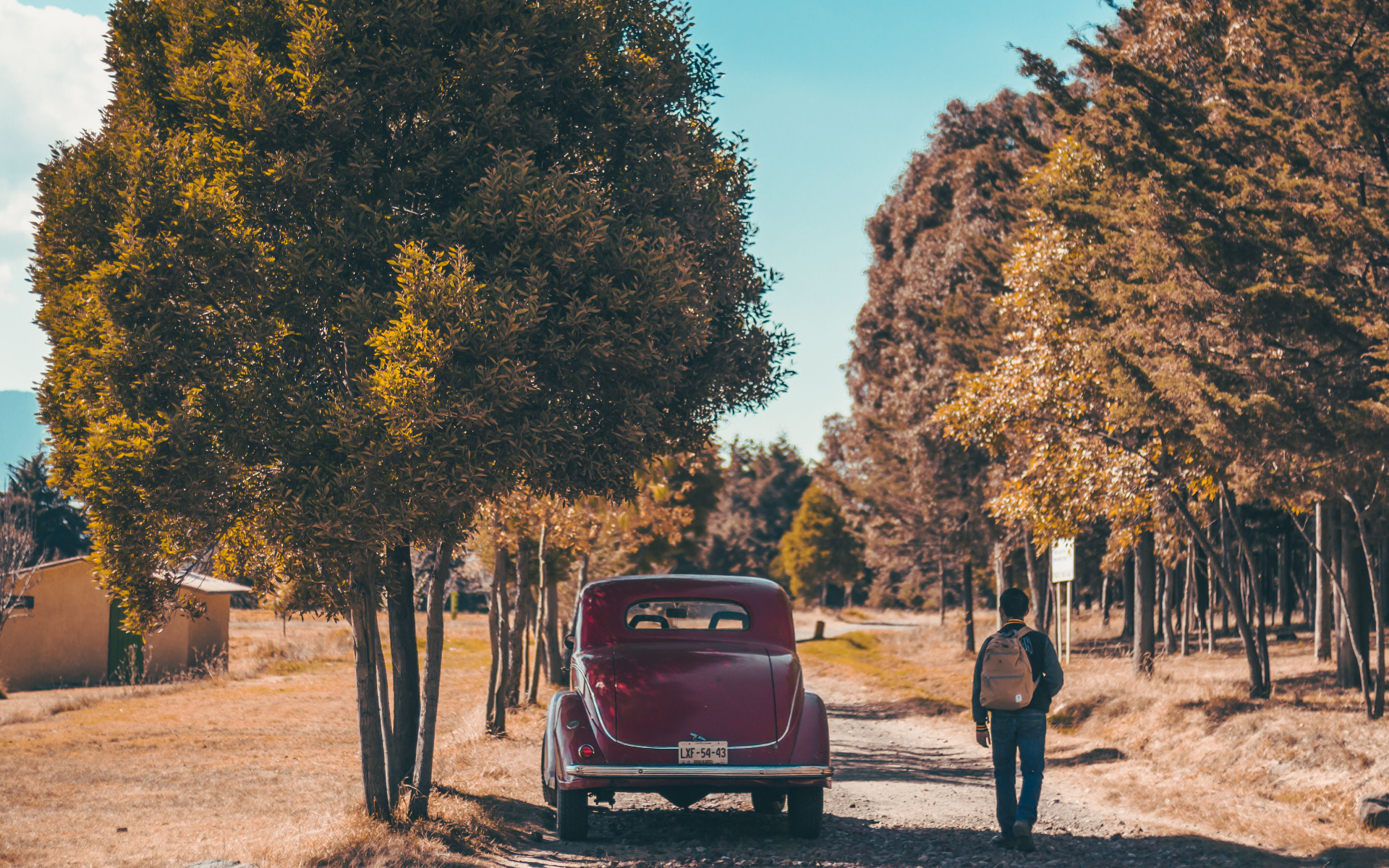 How Grief Changes Your Identity