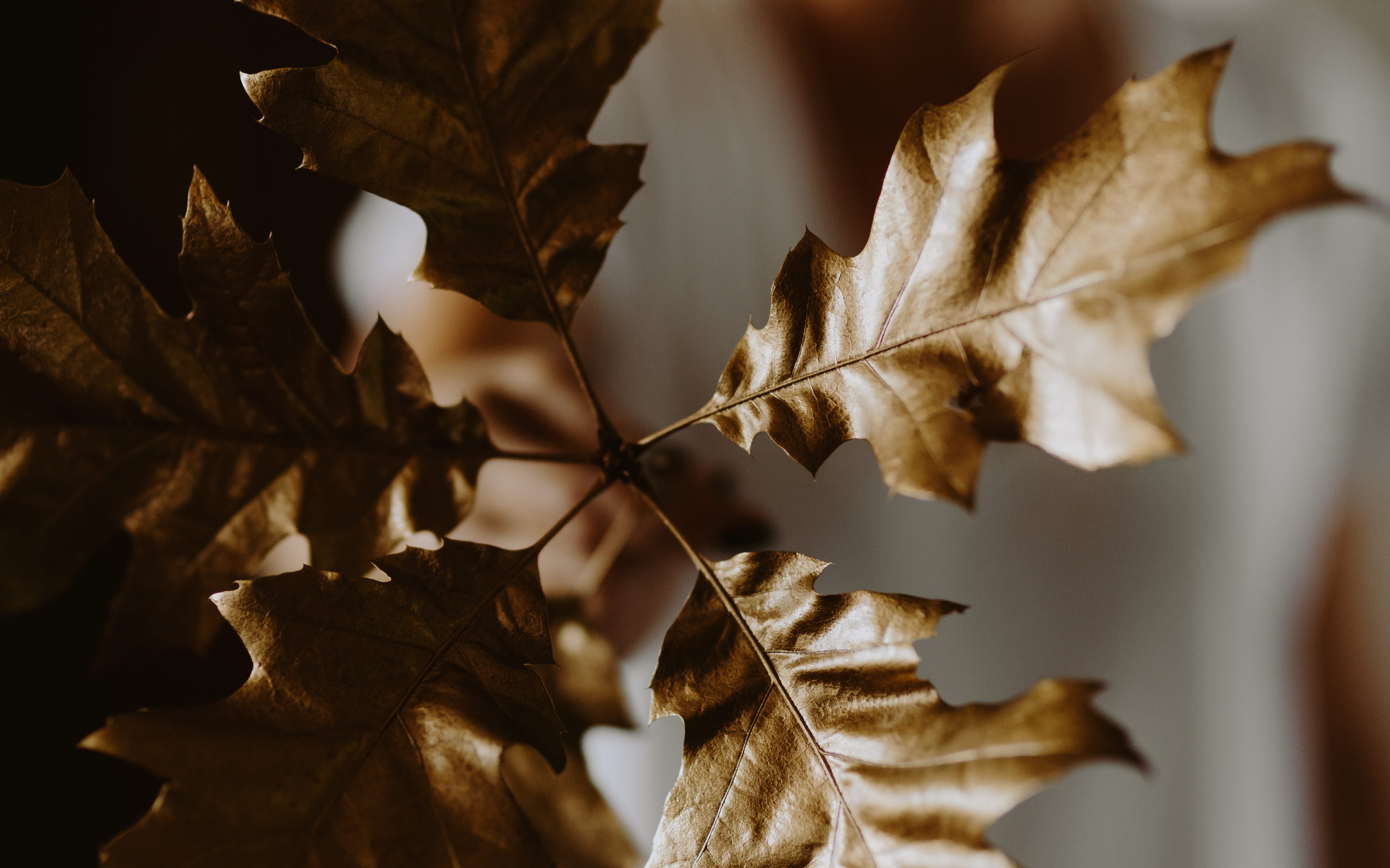 When Grief Feels Like Trauma: The Pain We Don’t Talk About