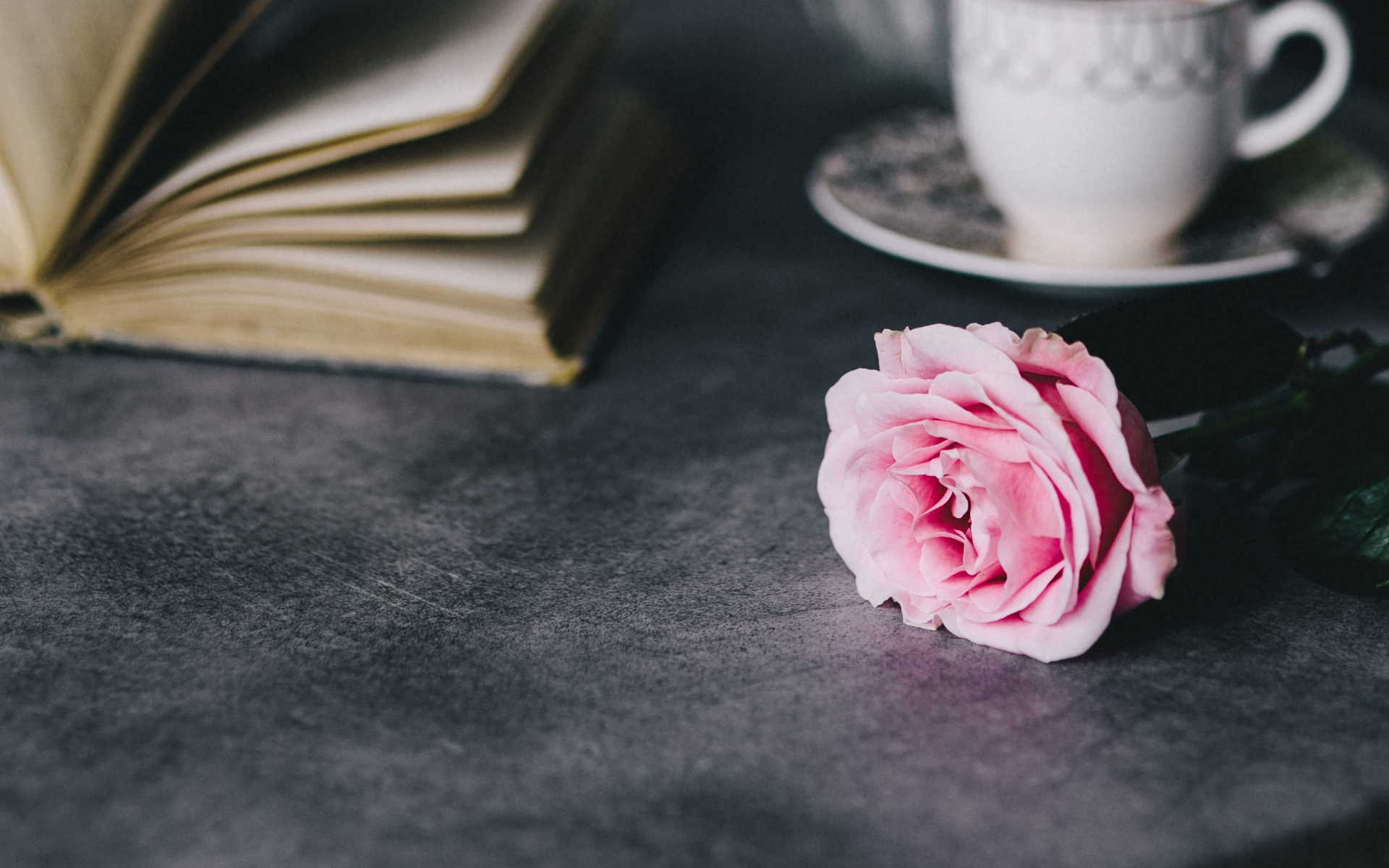 A Recipe for Grief. Grief and remembrance through memories