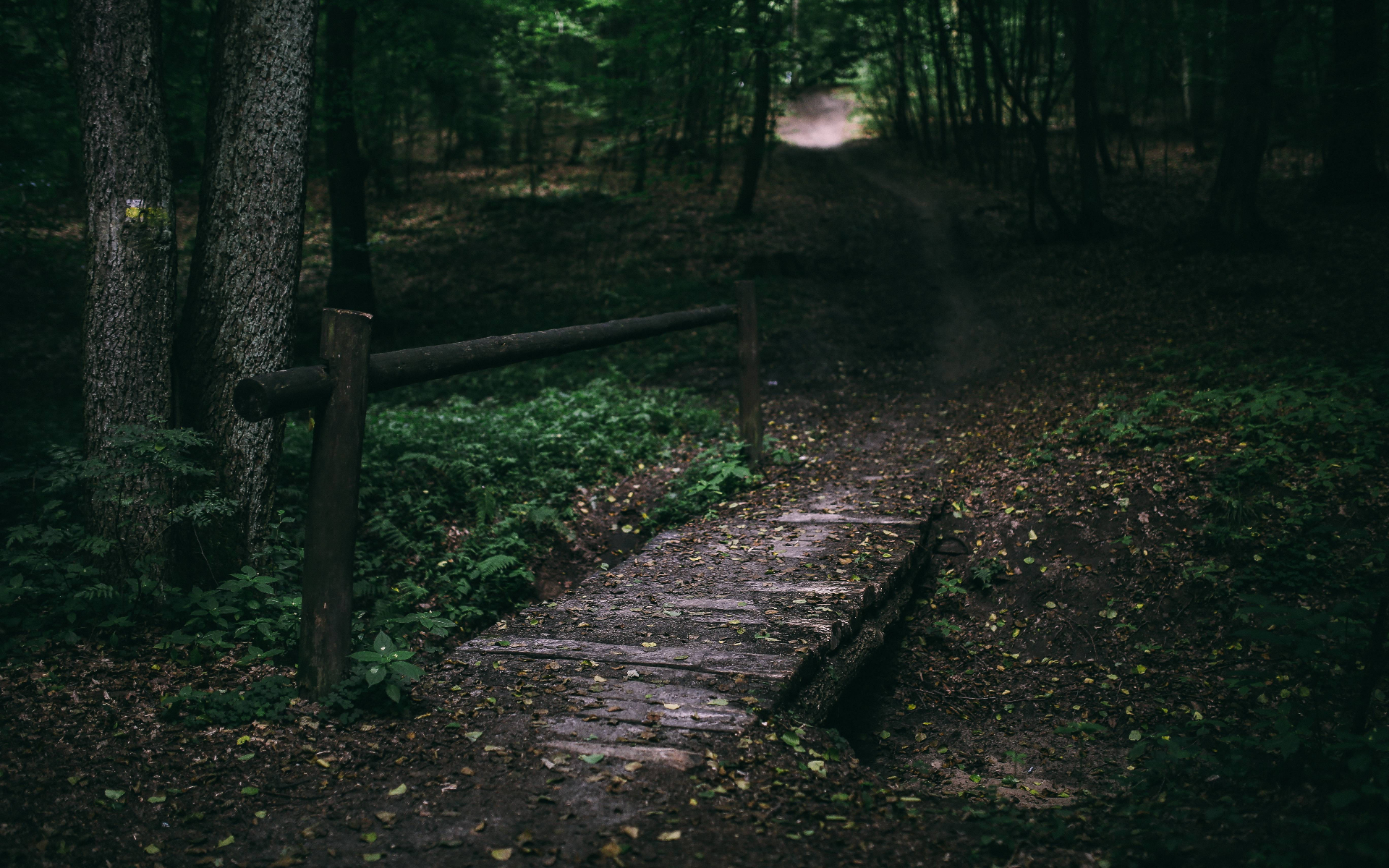 When Your Partner Doesn’t Understand Grief: Communication After Losing Your Mom
