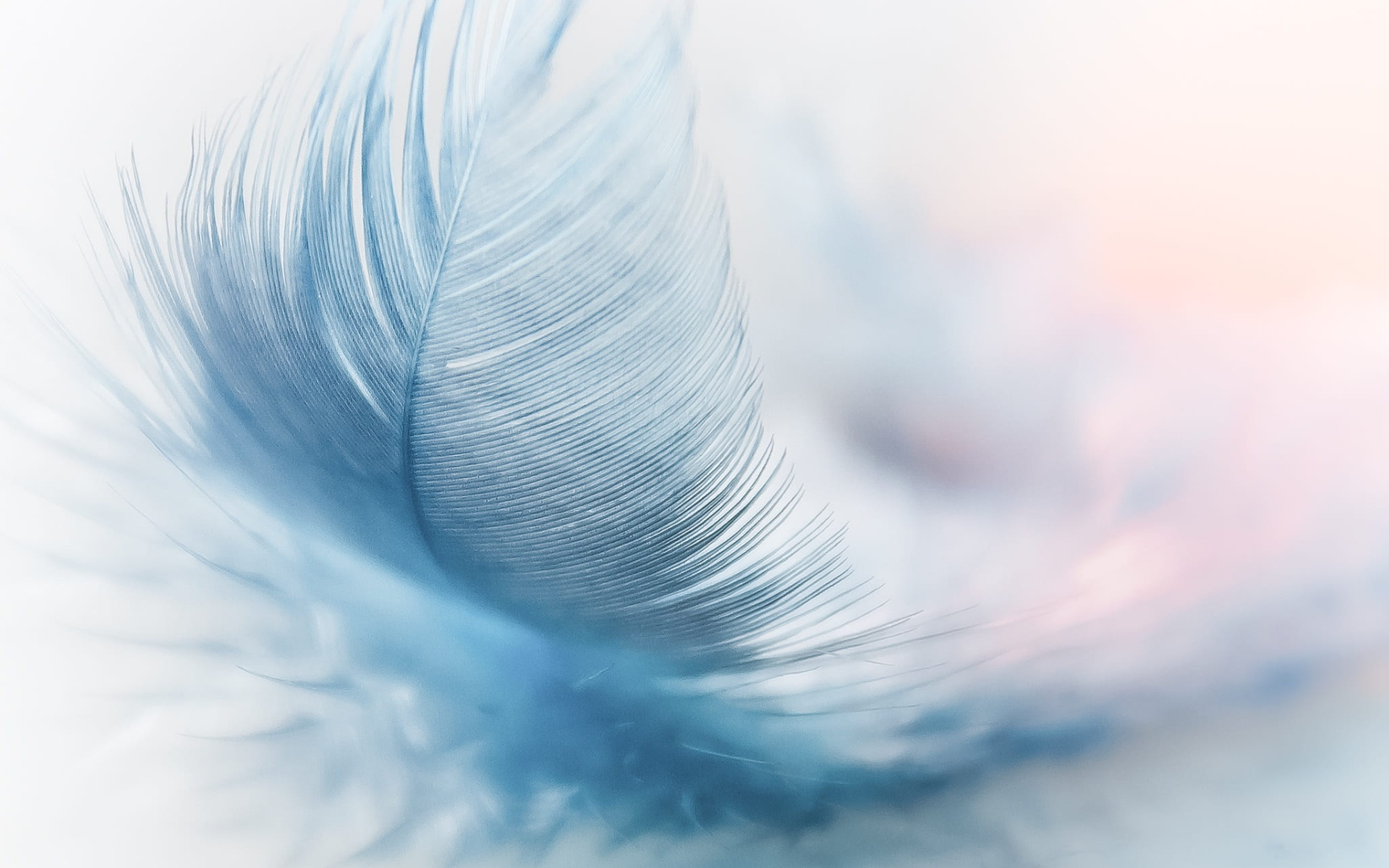 Gentle Ways to Support Yourself in Grief