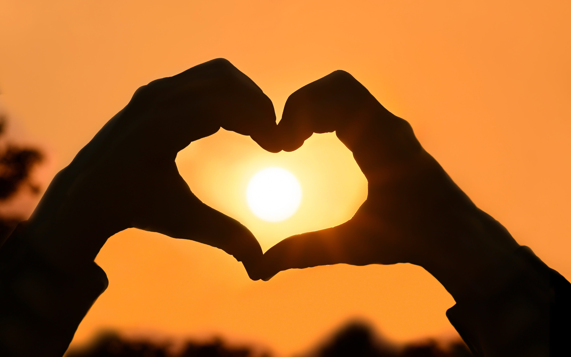 20 Grief Support Organizations for People Coping with Loss