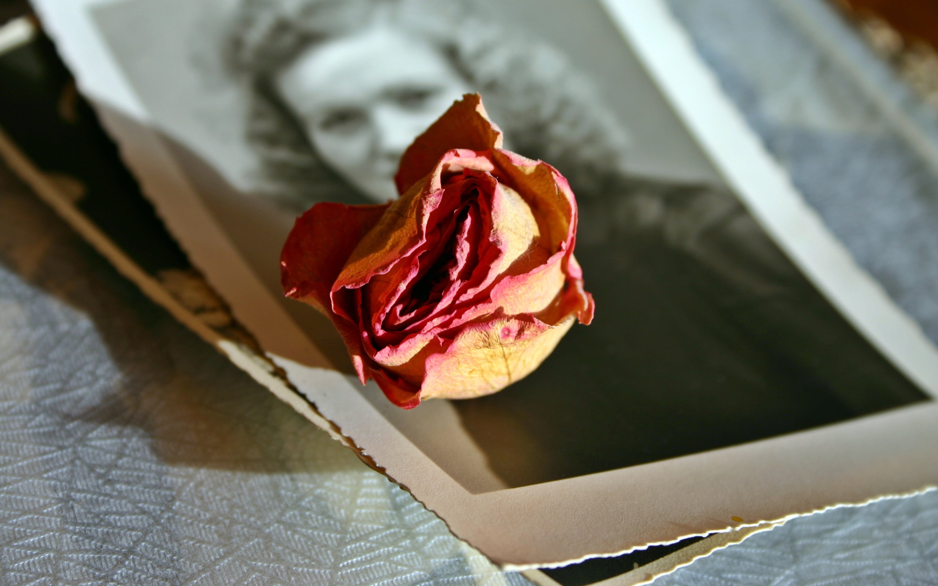 How to Honor the Memory of a Loved One