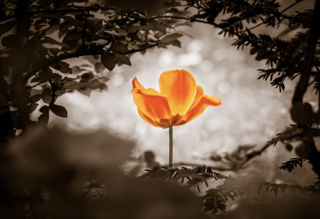 Healing Through Movement