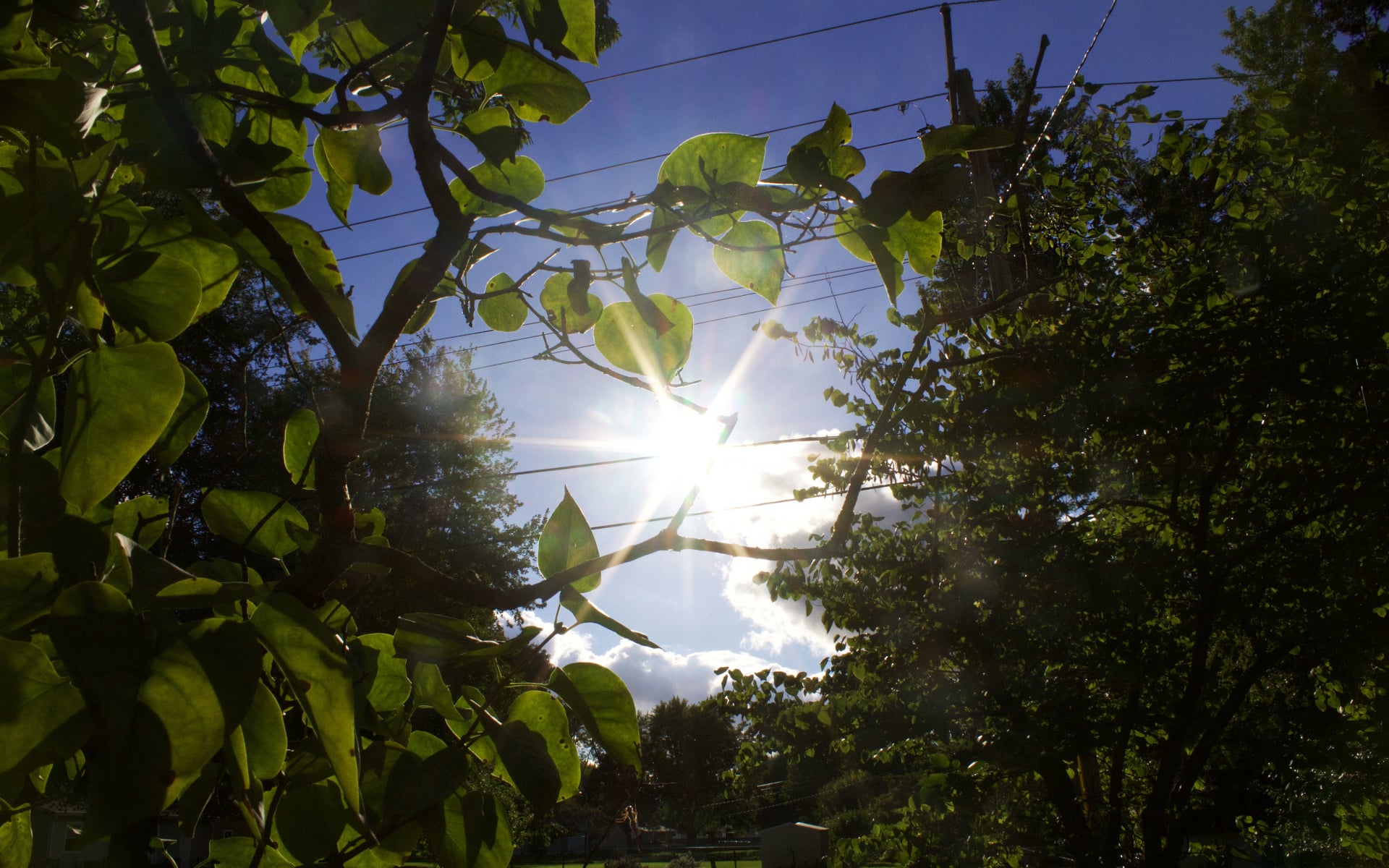 Why Forgiveness Helps Us Heal
