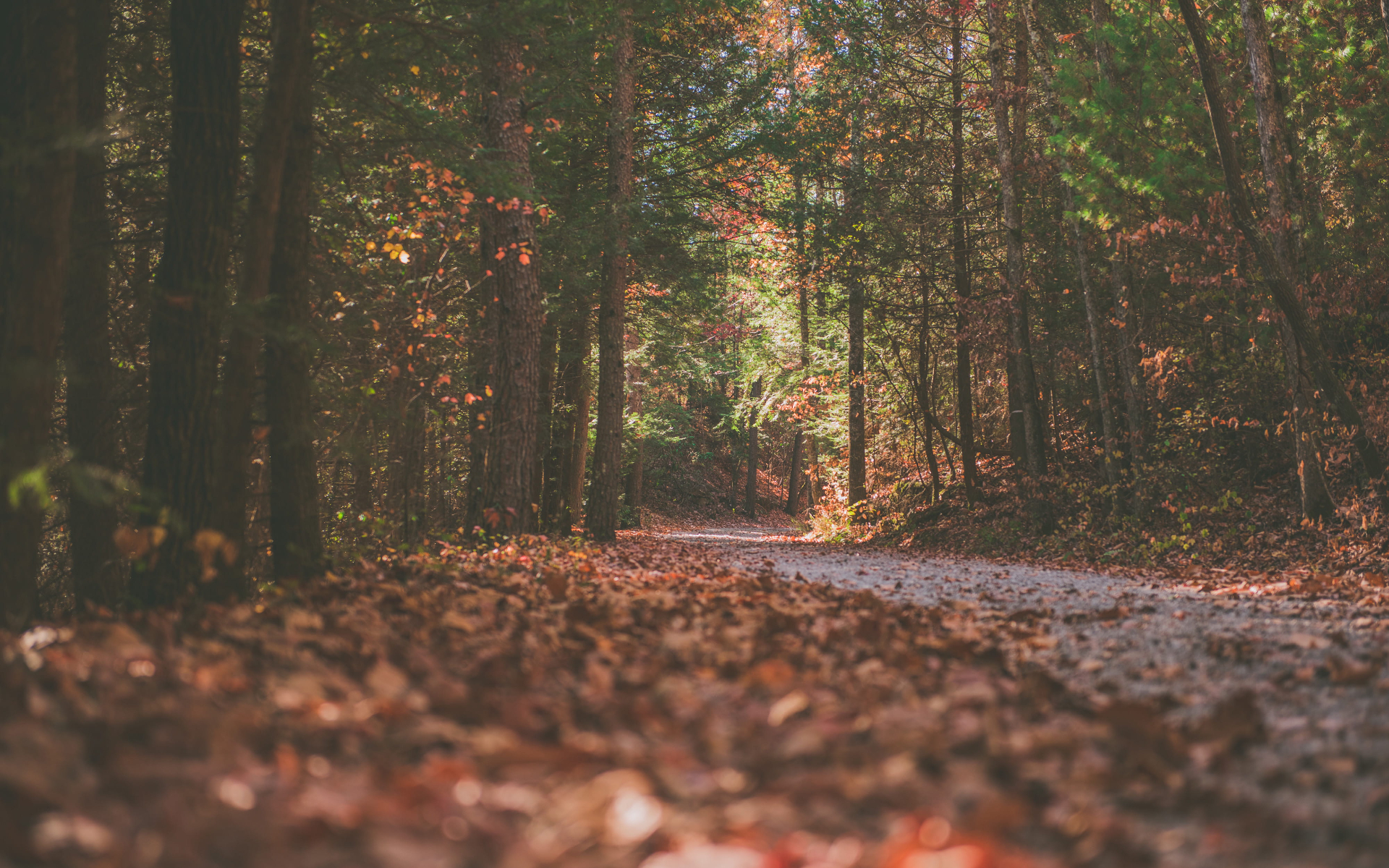 What does grief feel like? Real perspectives on loss, healing, and remembering